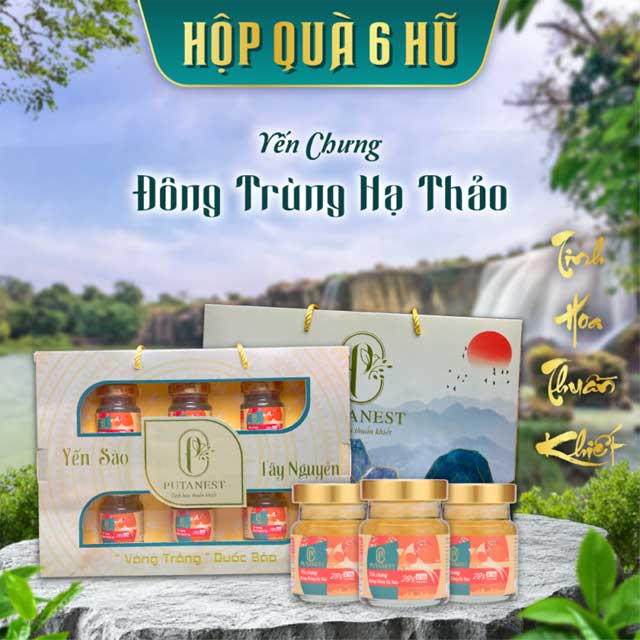 Hộp 6 Hũ Yến Chưng Cao Cấp Đông Trùng Hạ Thảo 28%