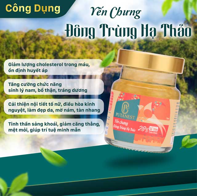 Xách 6 Hũ Yến Chưng Cao Cấp Đông Trùng Hạ Thảo 28%