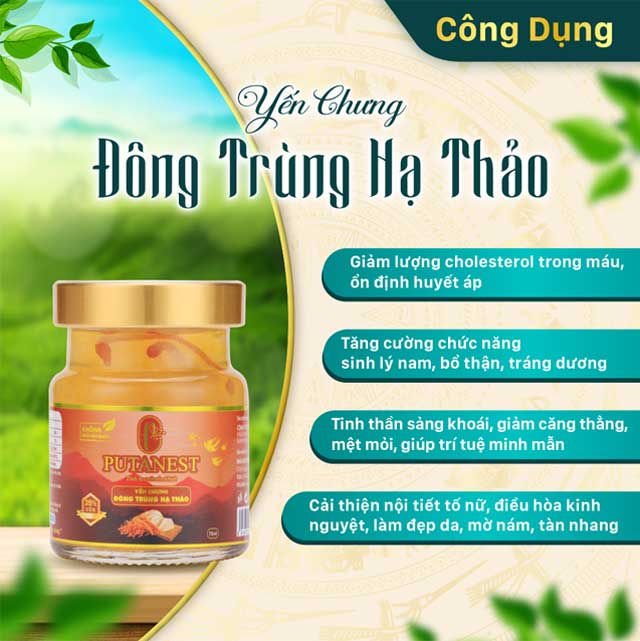 Yến Chưng Thượng Hạng Đông Trùng Hạ Thảo 35%