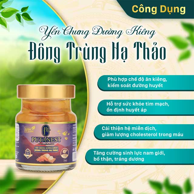 Yến Chưng Thượng Hạng Đường Kiêng Đông Trùng 35%